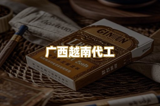 广西越南代工